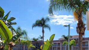 A balcony with a view of a parking lot, palm trees, and a building with a tiled roof. - Cortona Inn & Suites Anaheim Resort (Anaheim)