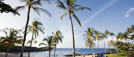 Private beach nearby, white sand, free beach shuttle, beach towels