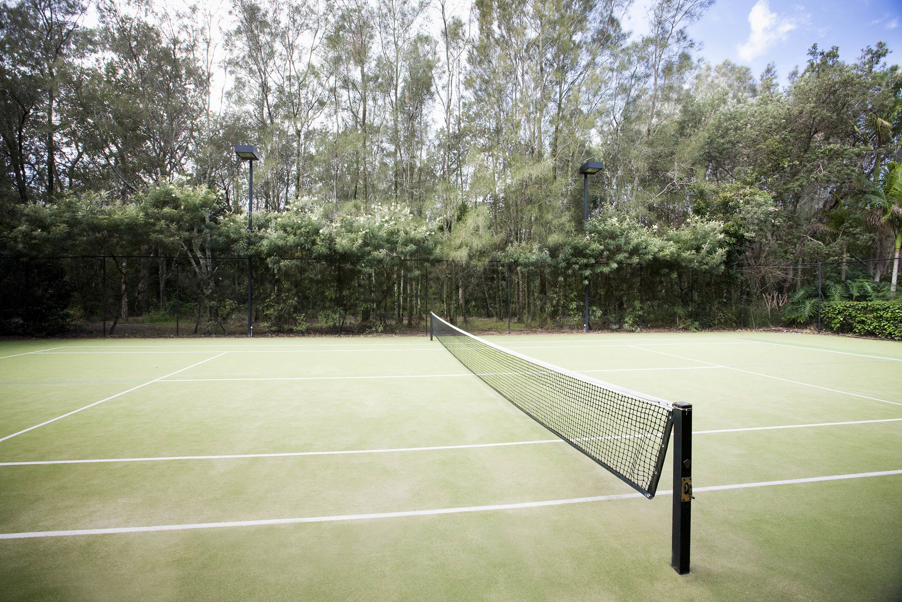 Un court de tennis avec un filet au centre, entouré d’arbres.