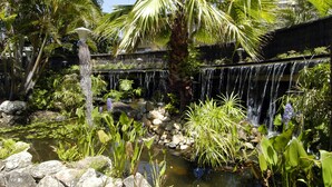Un jardín tranquilo con una pequeña cascada, exuberante vegetación y un estanque.