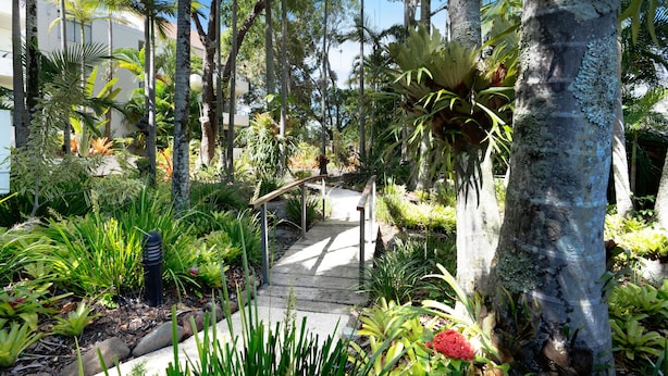 Uma escadaria de pedra cercada por plantas tropicais que leva a um edifício.
