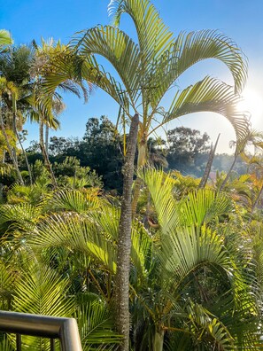 Three Bedroom Apartment | Terrace/patio