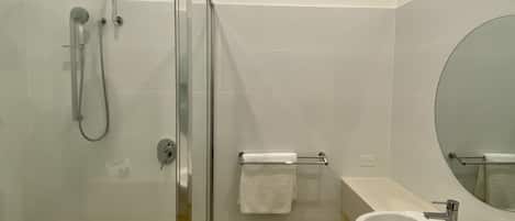 A modern bathroom with a glass shower enclosure, a sink, and a mirror.