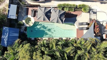 Outdoor pool, sun loungers