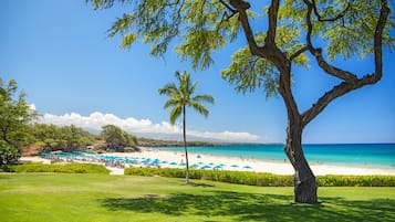 Gần bãi biển, cát trắng, ghế dài tắm nắng, dù trên bãi biển