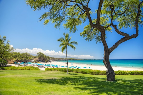 Beach nearby, white sand, sun loungers, beach umbrellas