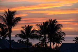 A sunset view with palm trees and a body of water.