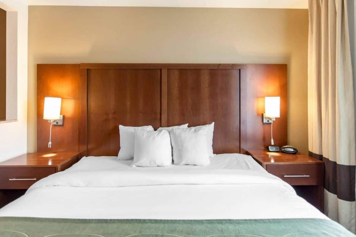 Premium bedding, down comforters, in-room safe, desk