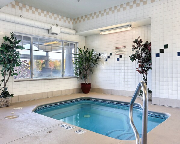 An indoor swimming pool with a tiled wall, a large window, and potted plants.