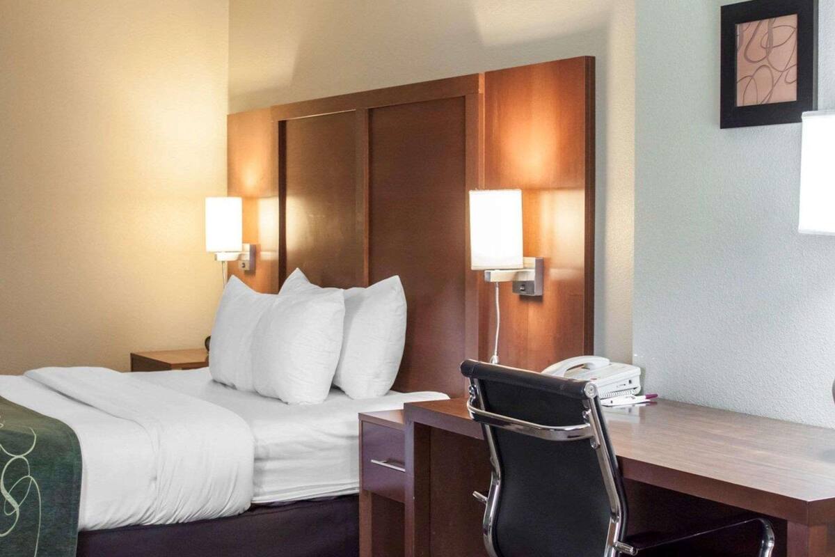 Premium bedding, down comforters, in-room safe, desk