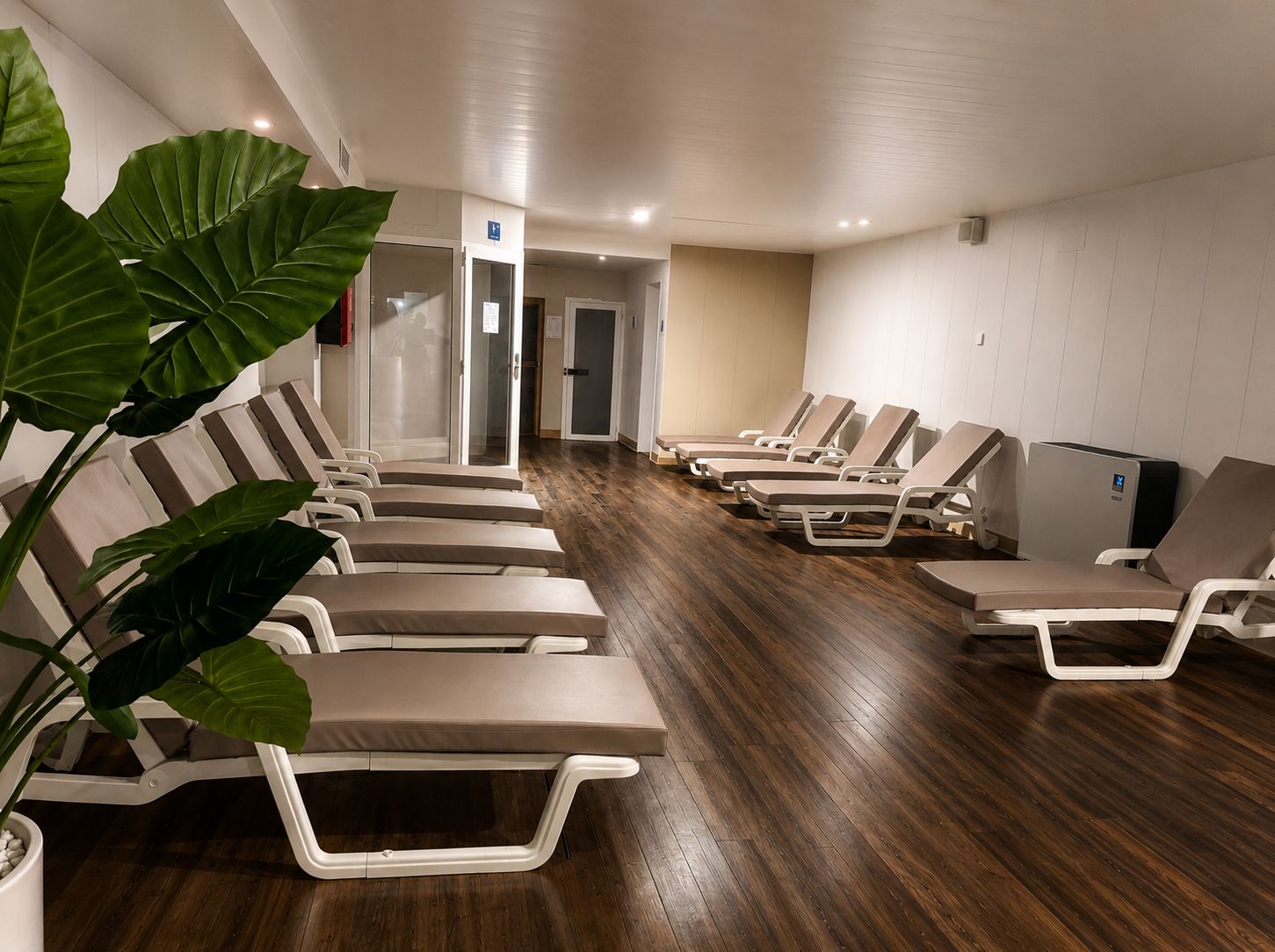 Une pièce dotée de plusieurs chaises longues disposées en rangées, d’un plancher en bois et d’une grande plante en pot.