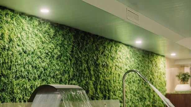 Una piscina con caída de agua y pared verde.