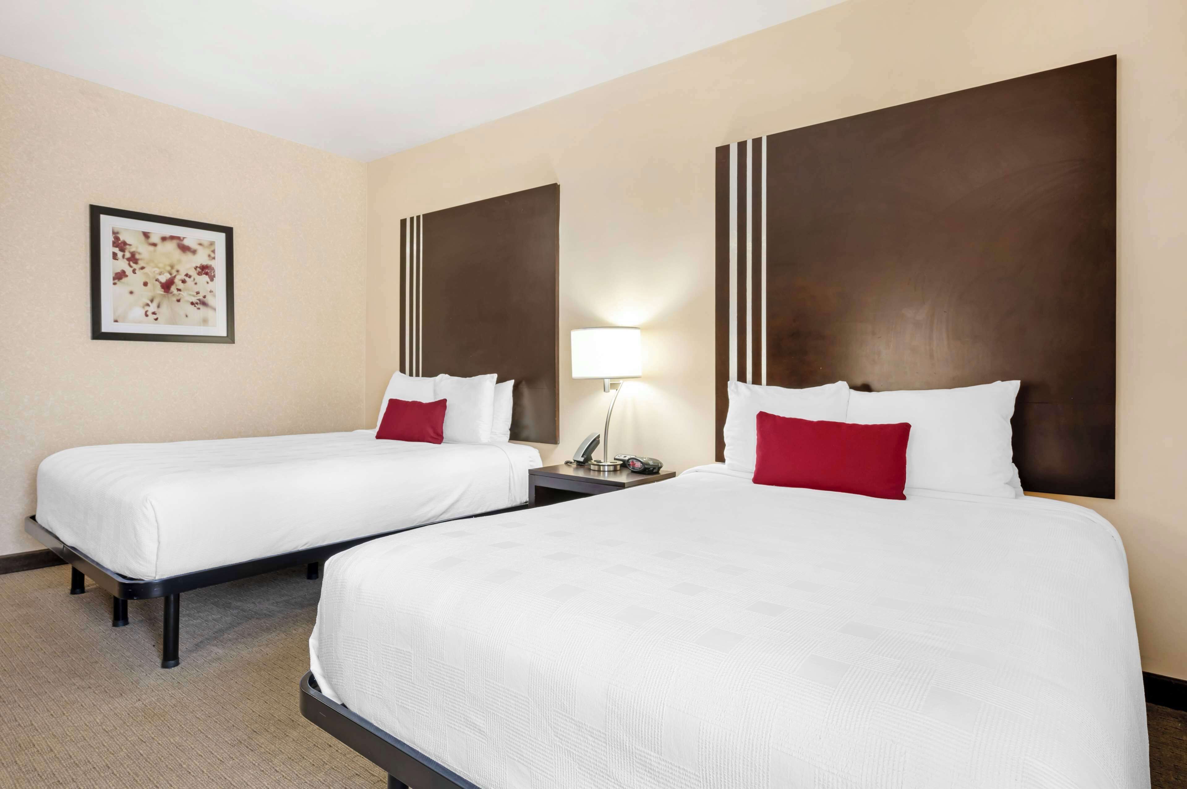 Habitación de hotel con dos camas individuales, cada una con ropa de cama blanca y almohadas rojas. Se observa un cuadro en la pared, una mesita de noche con una lámpara y un teléfono.