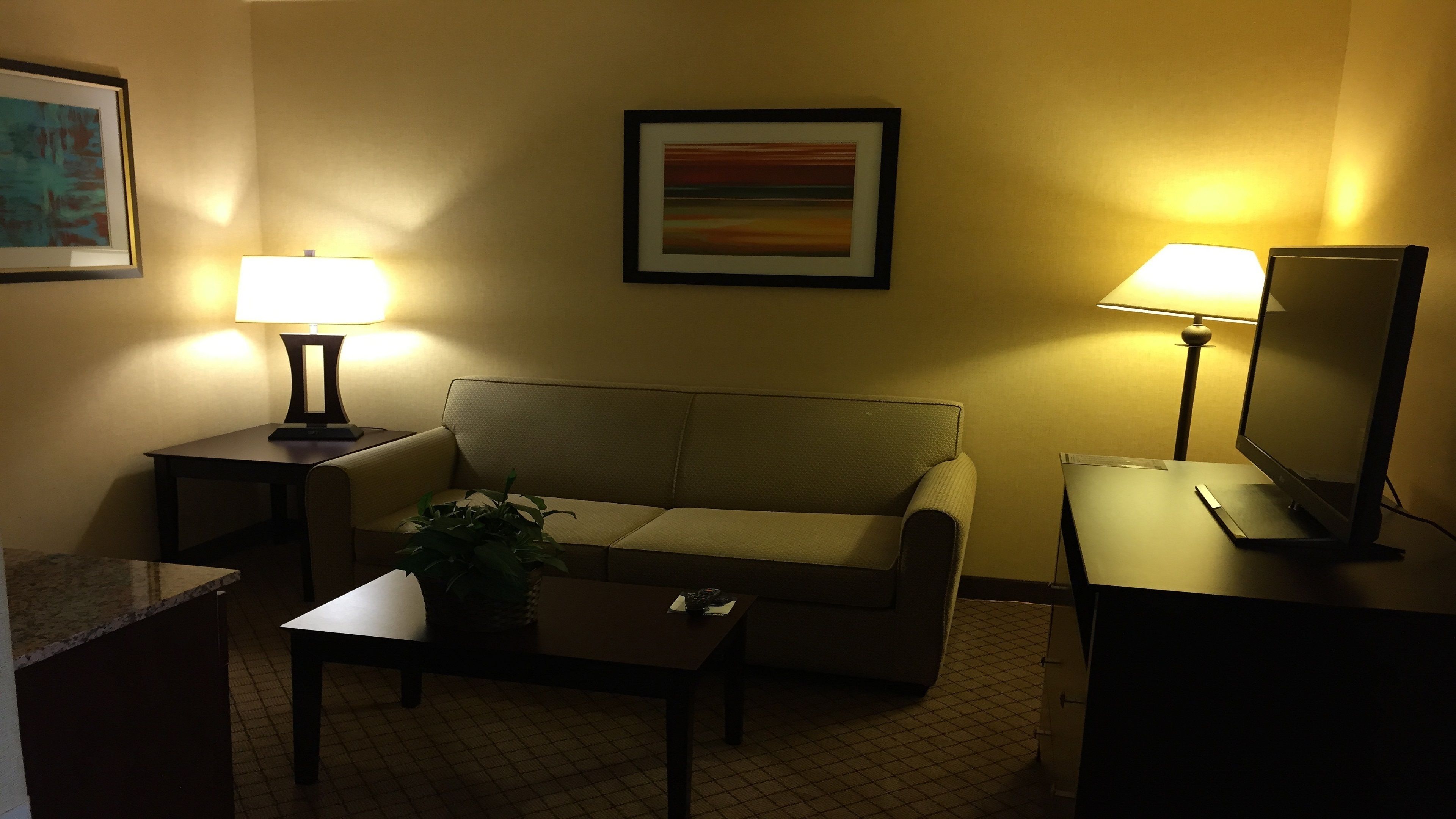 Habitación de hotel con sofá, una pequeña mesa con una planta, televisor sobre un mueble bajo y dos lámparas.