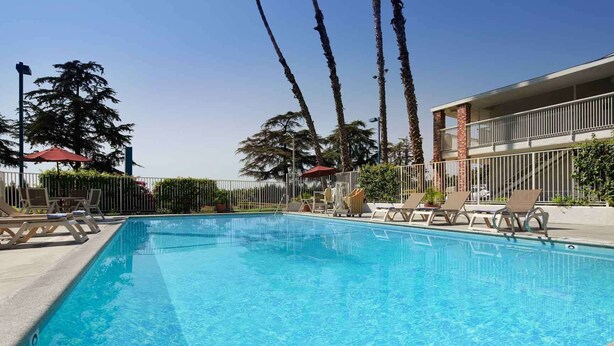 A rectangular swimming pool with clear blue water, surrounded by lounge chairs and umbrellas, with a building and palm trees in the background. - Motel 6 Arcadia, CA - Los Angeles - Pasadena Area (Arcadia)