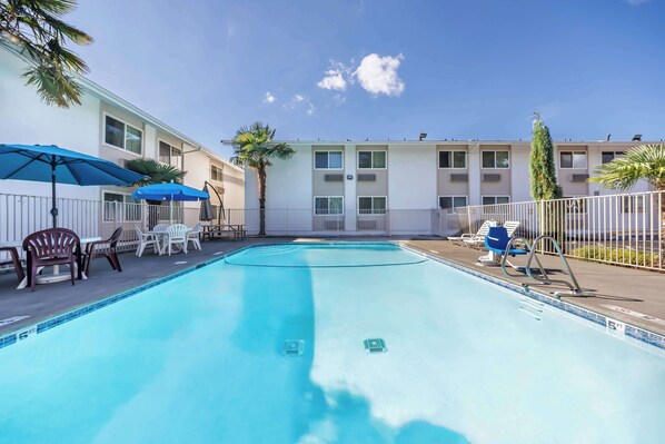 حمّام سباحة خارجي موسمي، مظلات على حمّام السباحة، مقاعد للتشمس