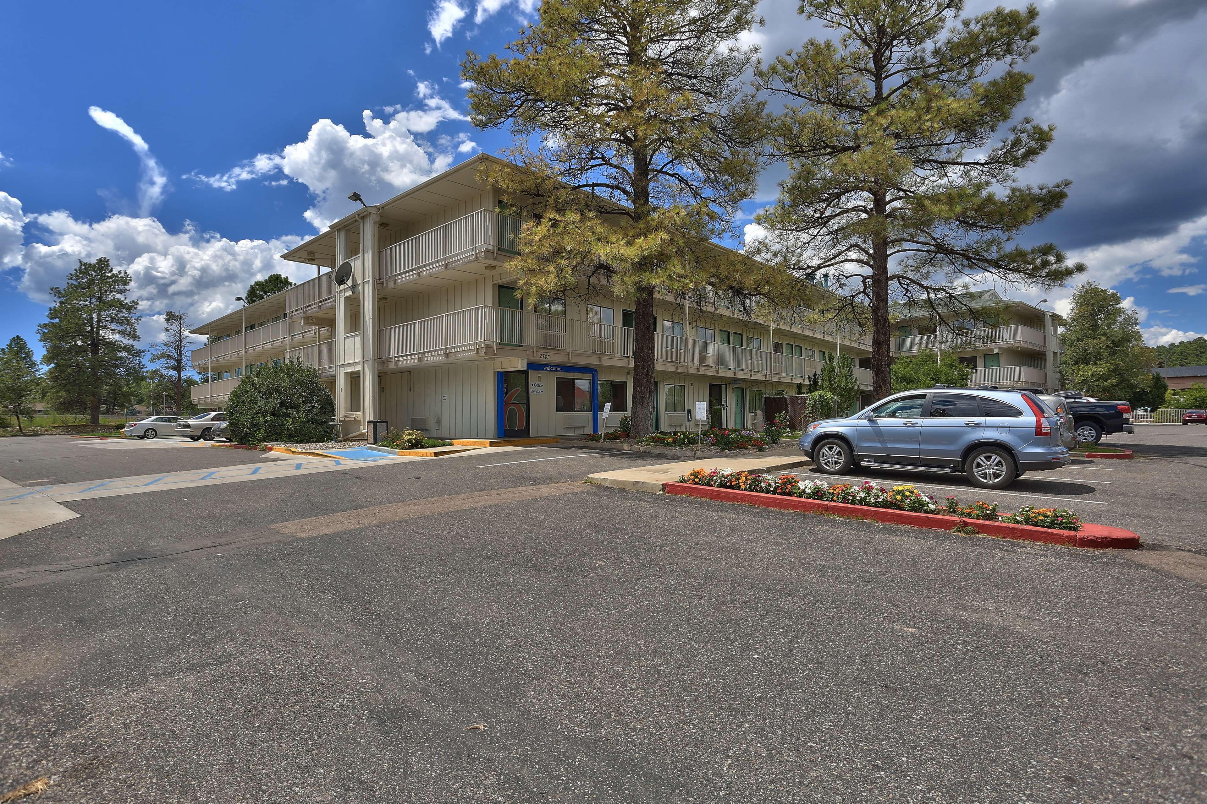 A multi-story hotel with a parking lot, a blue entrance, and a large tree in front.