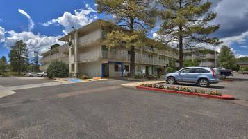 A multi-story hotel with a parking lot, a blue entrance, and a large tree in front.