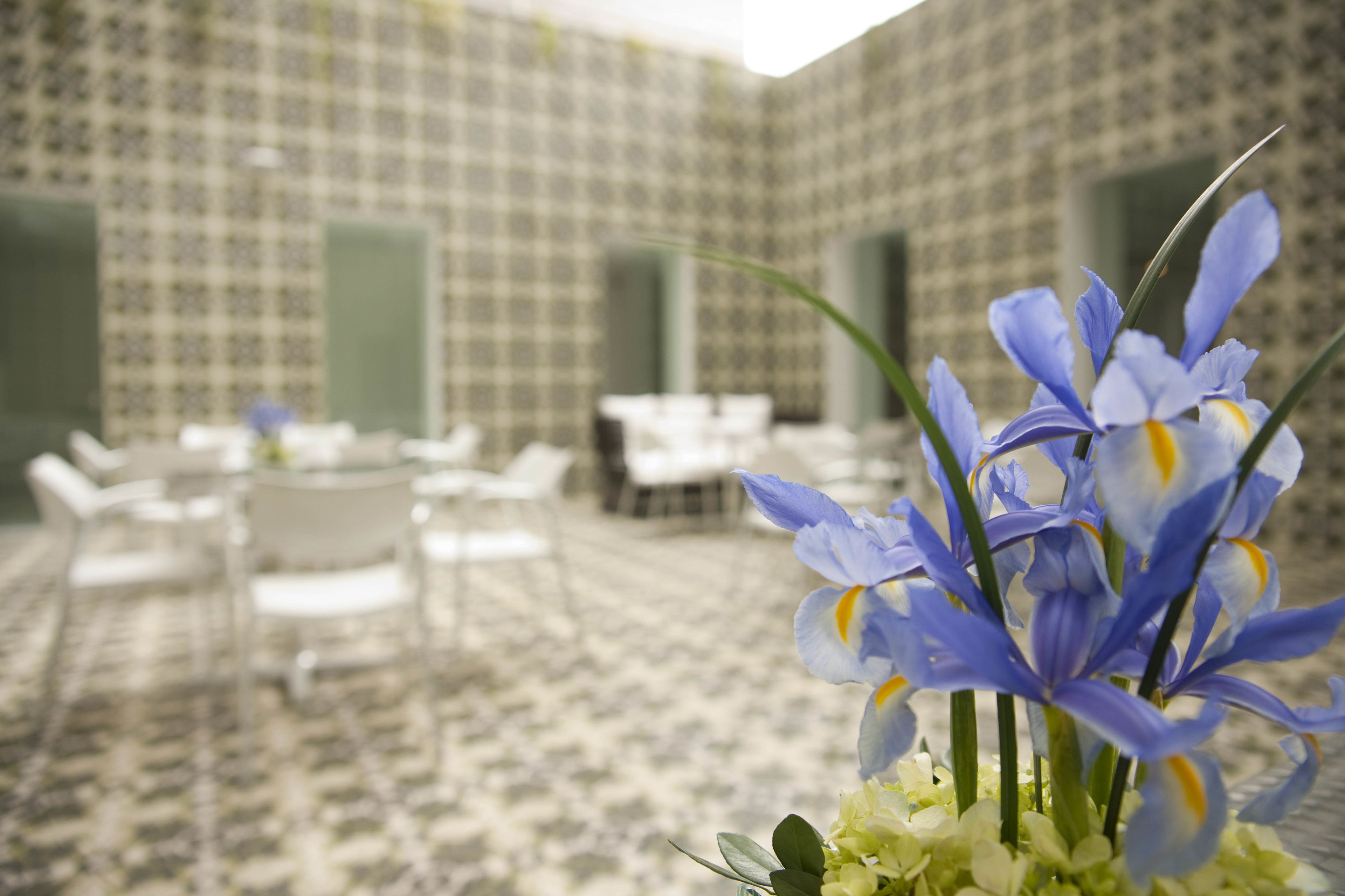 Foto - NM Lima Hotel