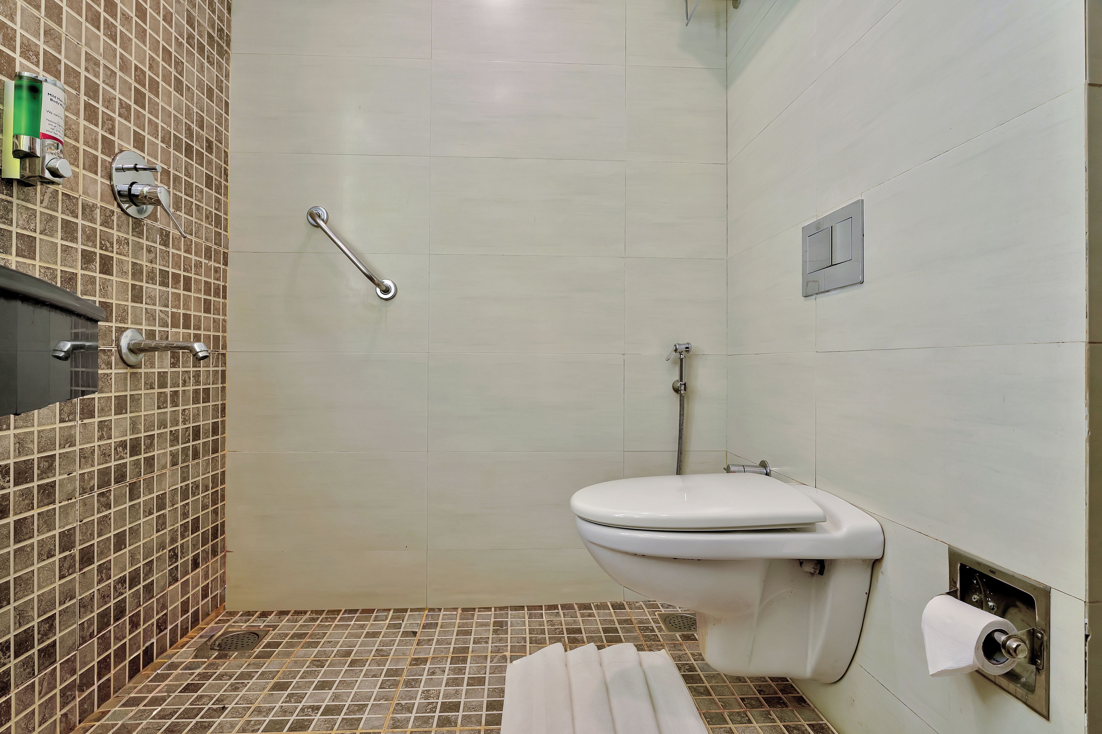 Un bagno con un water, una doccia e un mancorrente.