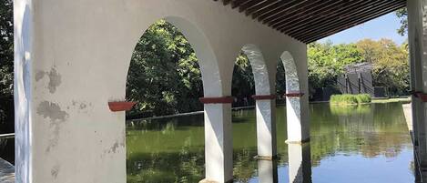 Un paseo techado con arcos que cruza un cuerpo de agua, rodeado de follaje.