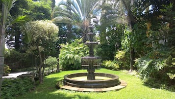 Une fontaine à plusieurs niveaux, entourée d’une végétation luxuriante et de palmiers.