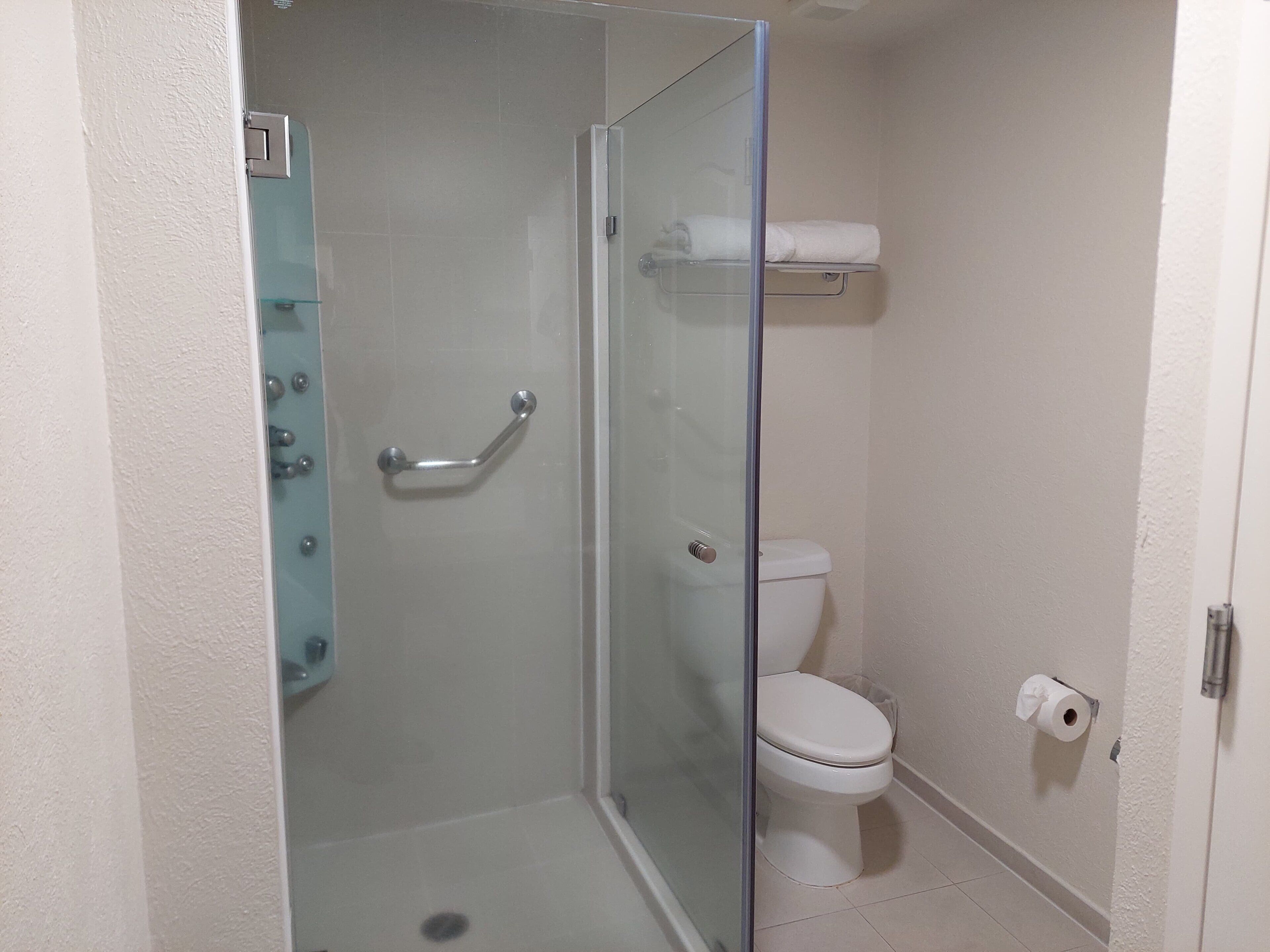 A bathroom with a glass-enclosed shower, a white toilet, and a towel rack.