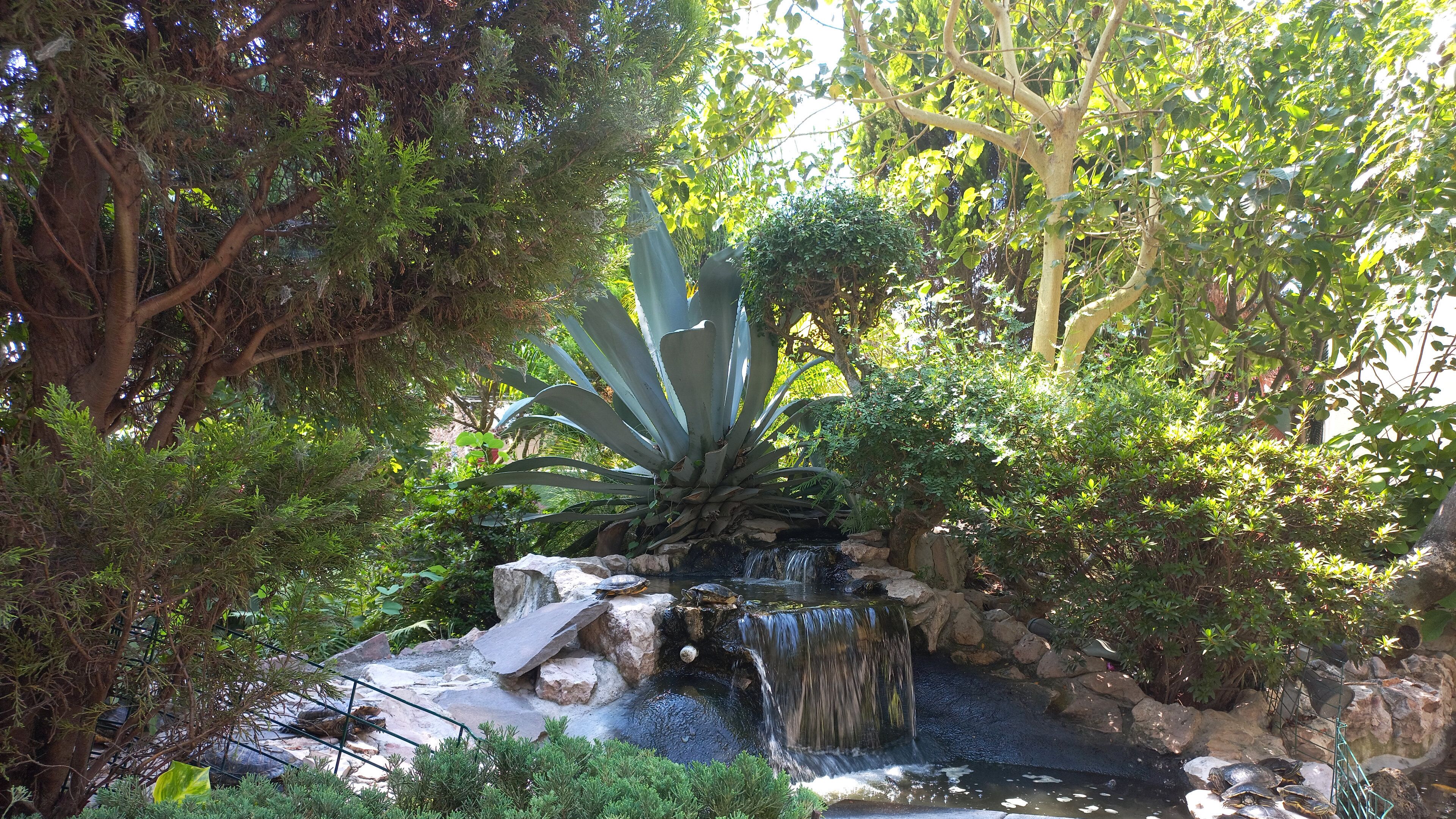 A garden with a small waterfall, rocks, and various plants.