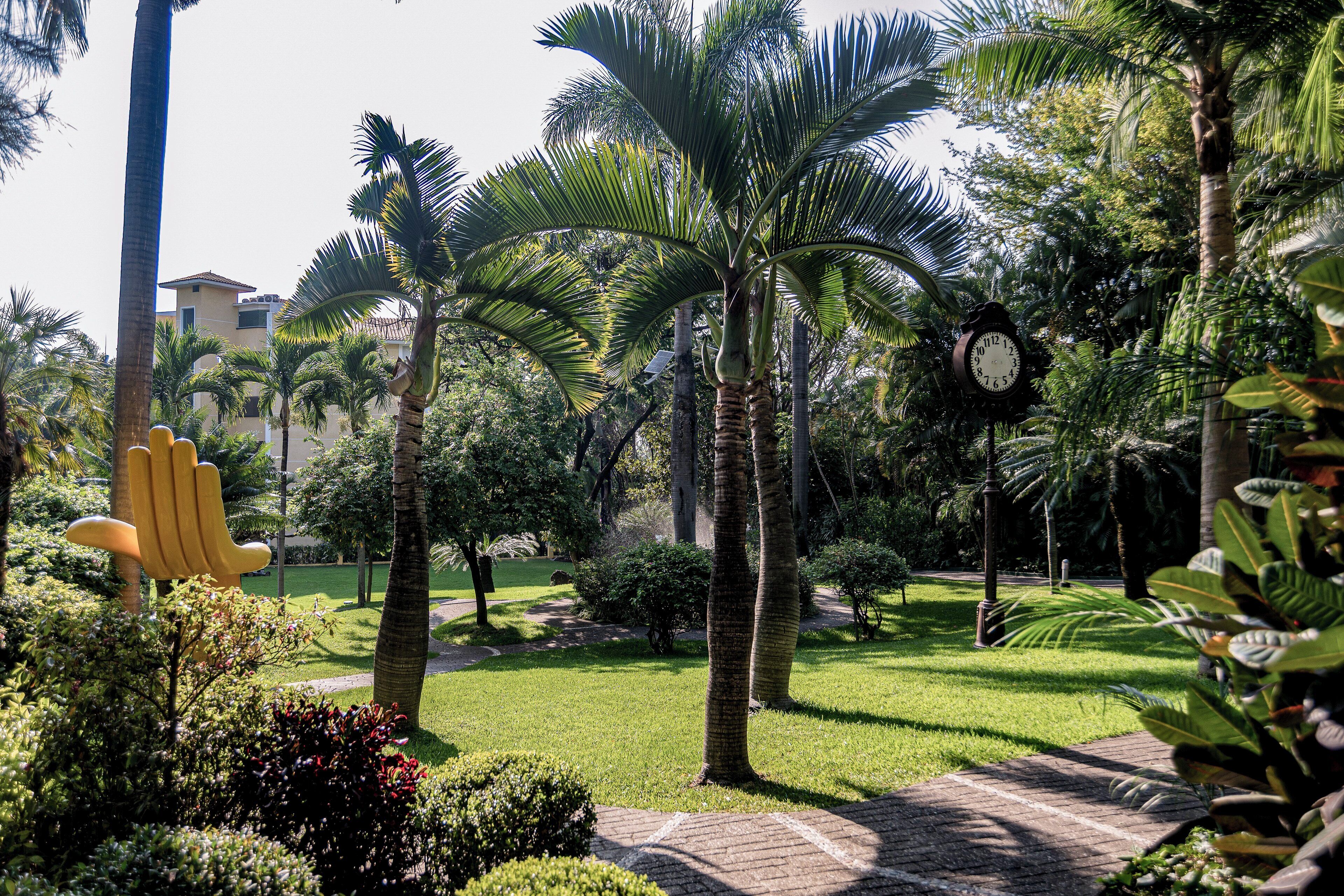 A garden with palm trees, a clock, and a yellow sculpture.