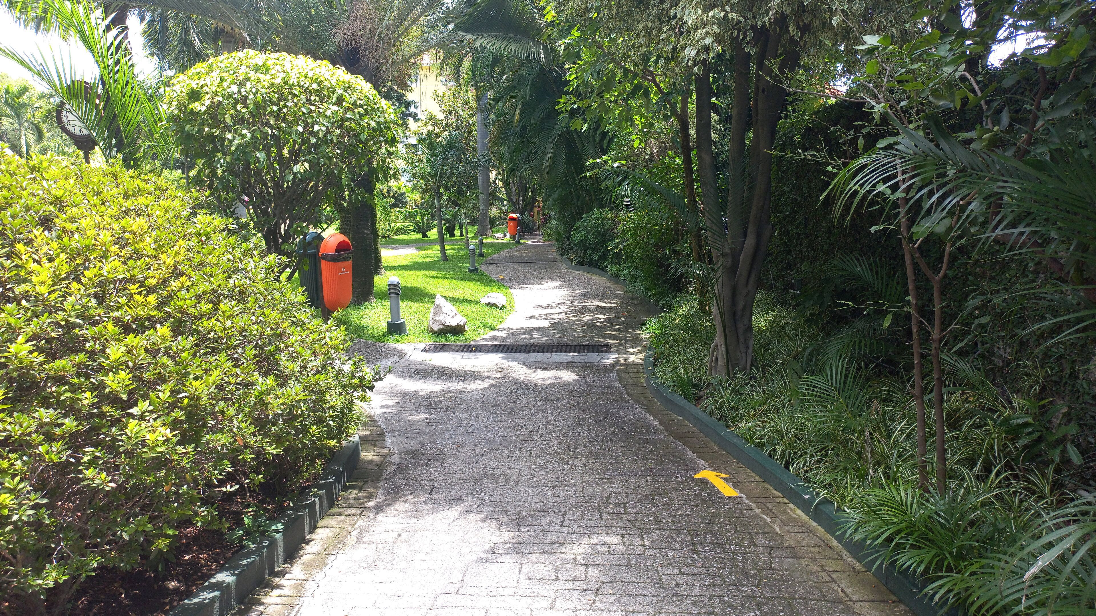 Un sendero pavimentado bordeado de exuberante vegetación y árboles, que atraviesa un parque.