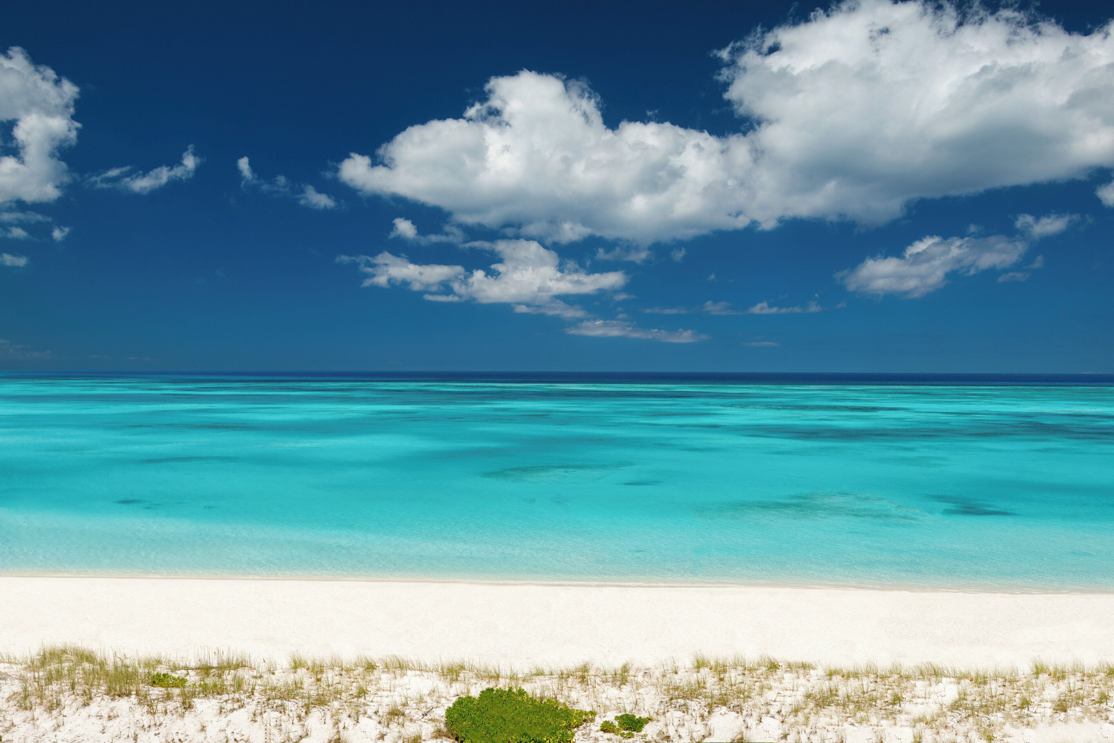 Deluxe Suite, 2 Bedrooms, Oceanfront (Recently Renovated) | Balcony view
