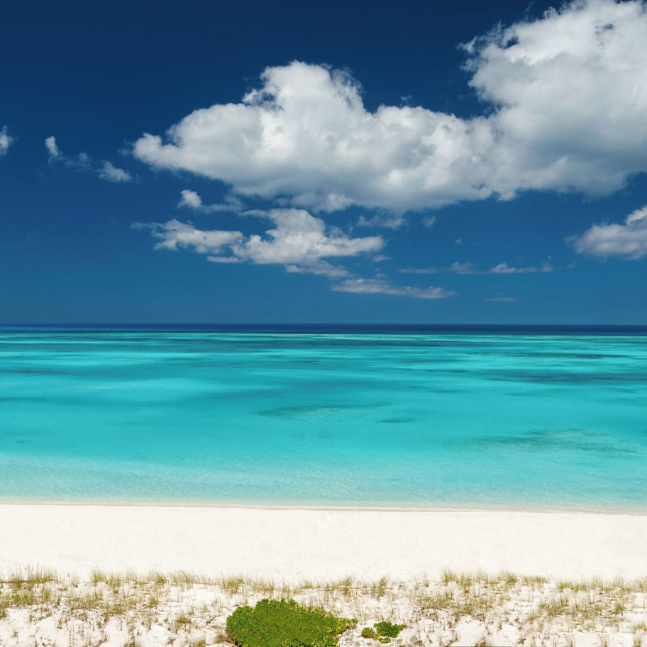 Deluxe Suite, 2 Bedrooms, Oceanfront (Recently Renovated) | Balcony view