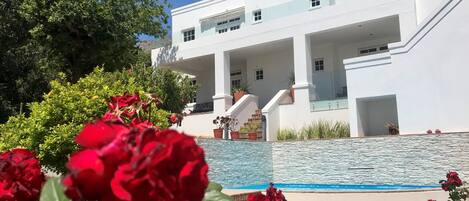 A modern white building with a pool and red flowers in the foreground.