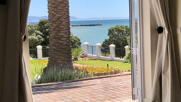 A room with a view of a coastal area, including a palm tree and a body of water.
