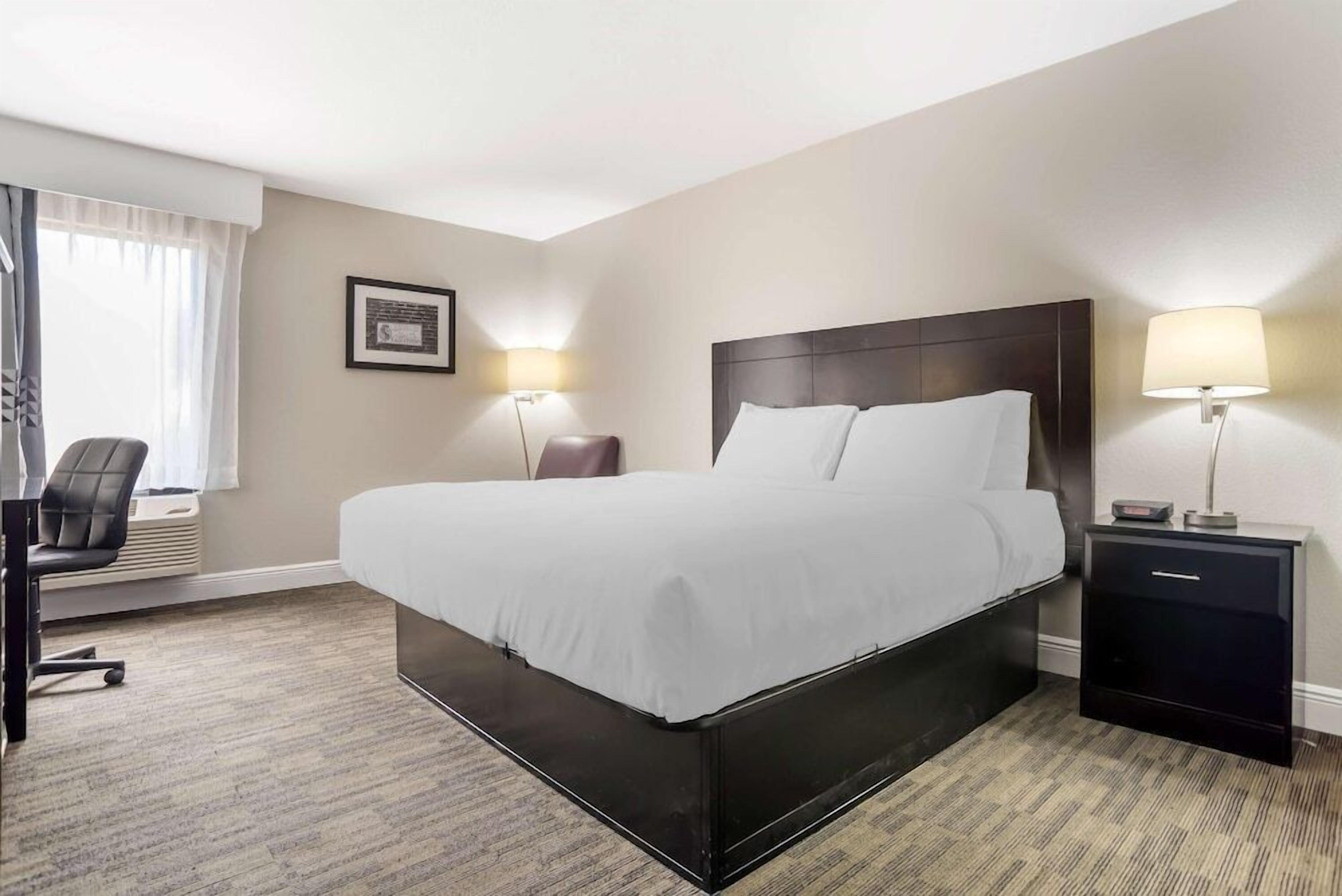 Premium bedding, pillowtop beds, in-room safe, desk