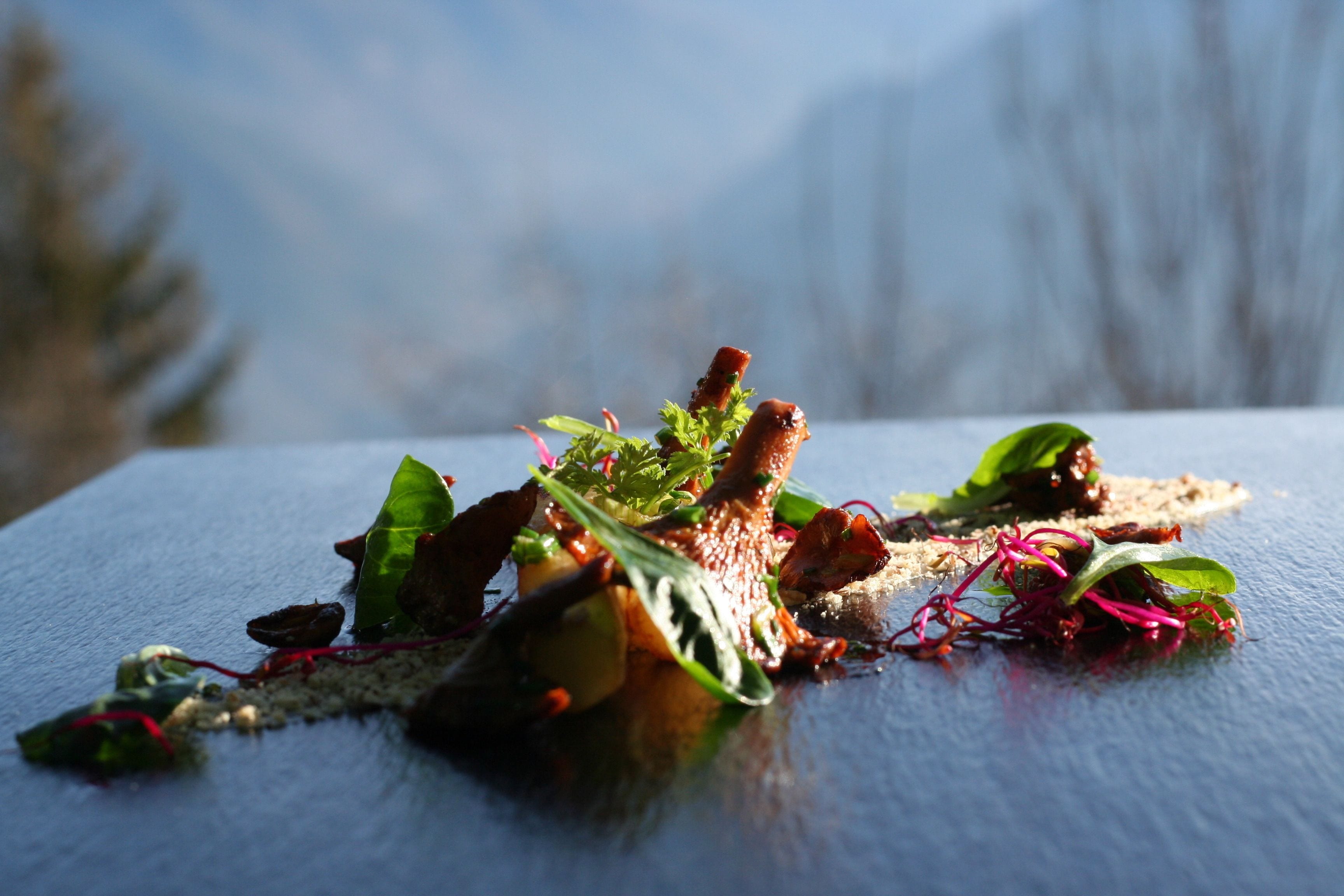 Foto - Hotel-Restaurant Le Mont Paisible, Crans-Montana