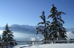 Paisaje montañoso nevado con árboles cubiertos de nieve y un cielo azul despejado.