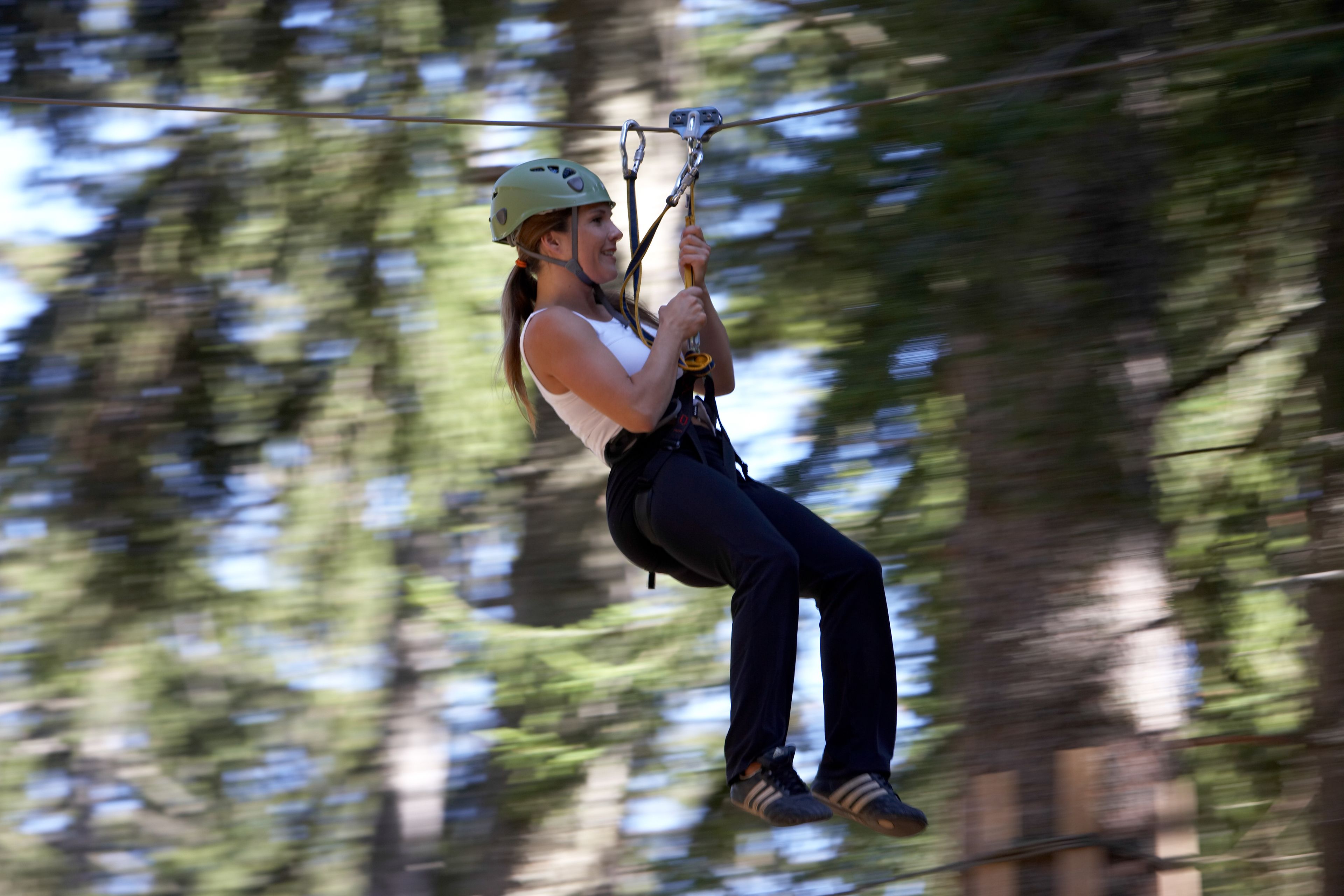 Foto - Hotel-Restaurant Le Mont Paisible, Crans-Montana