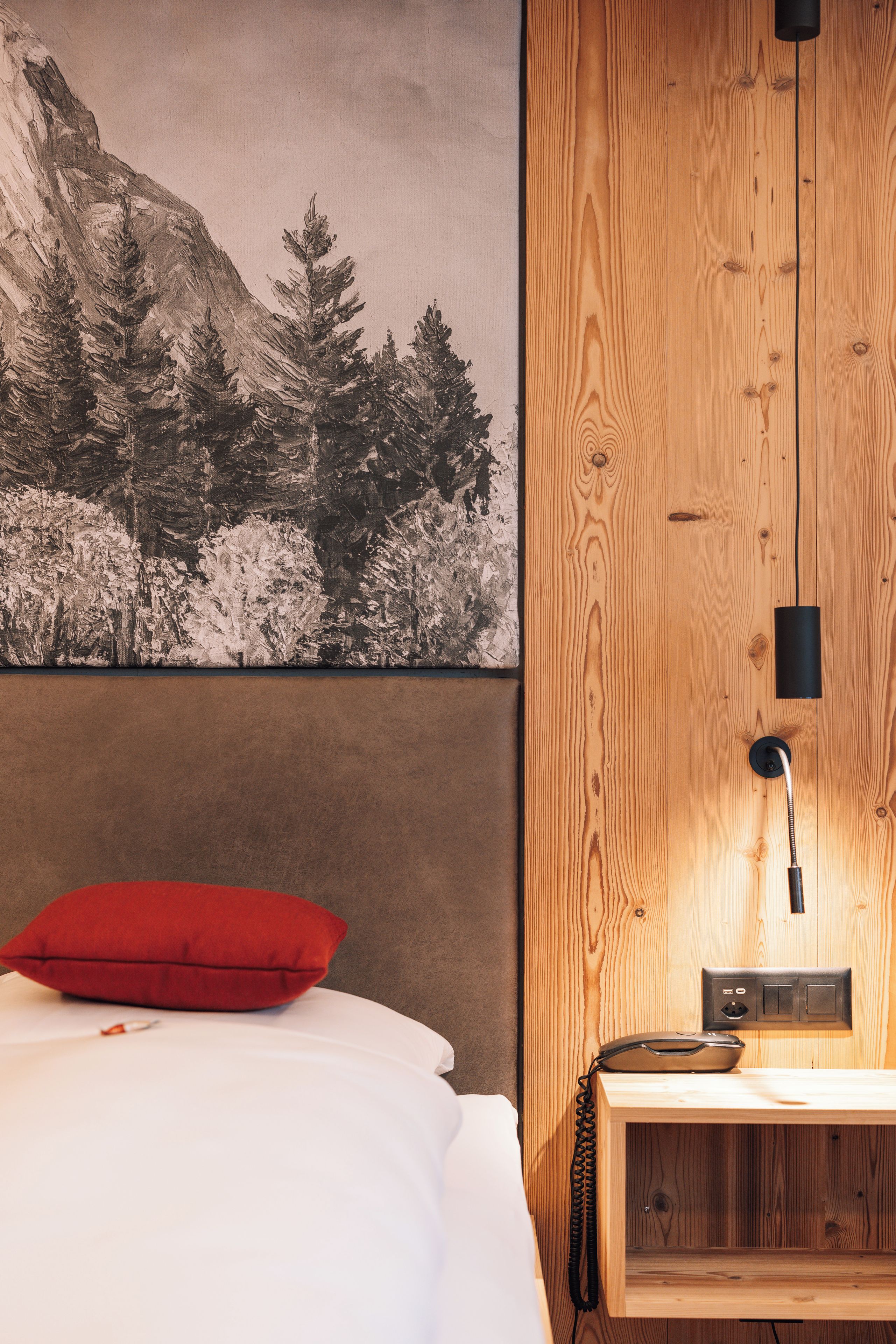 A bedroom with a bed, a red pillow, a wall-mounted lamp, a telephone, and a wooden panel with a picture.