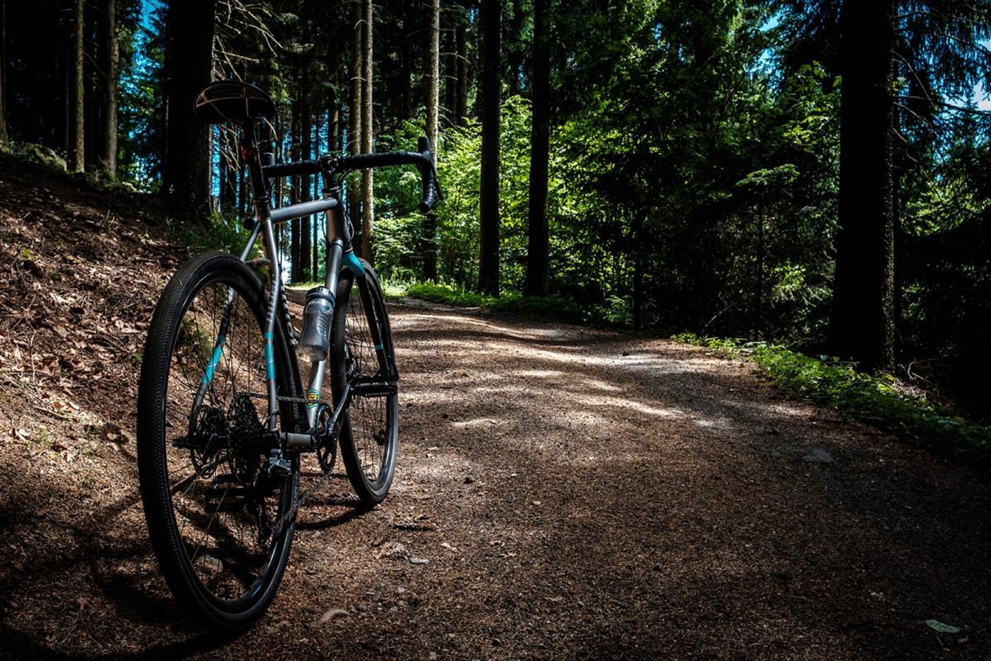 A bicycle parked on a forest path.