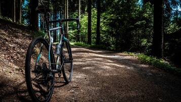 Un vélo garé sur un sentier de forêt.