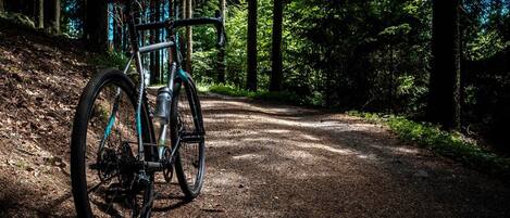A bicycle parked on a forest path.
