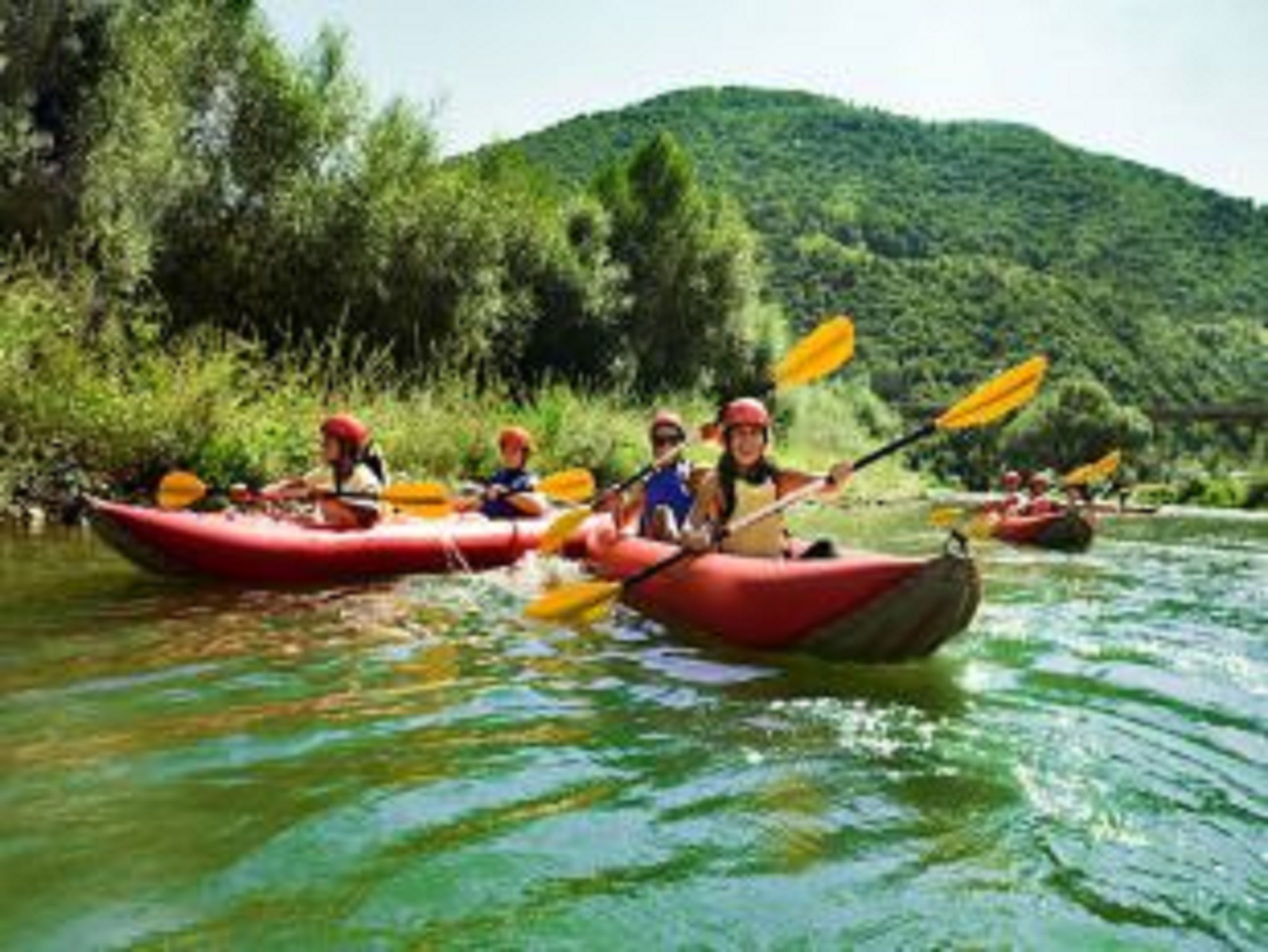 Foto - Hôtel de la Forêt