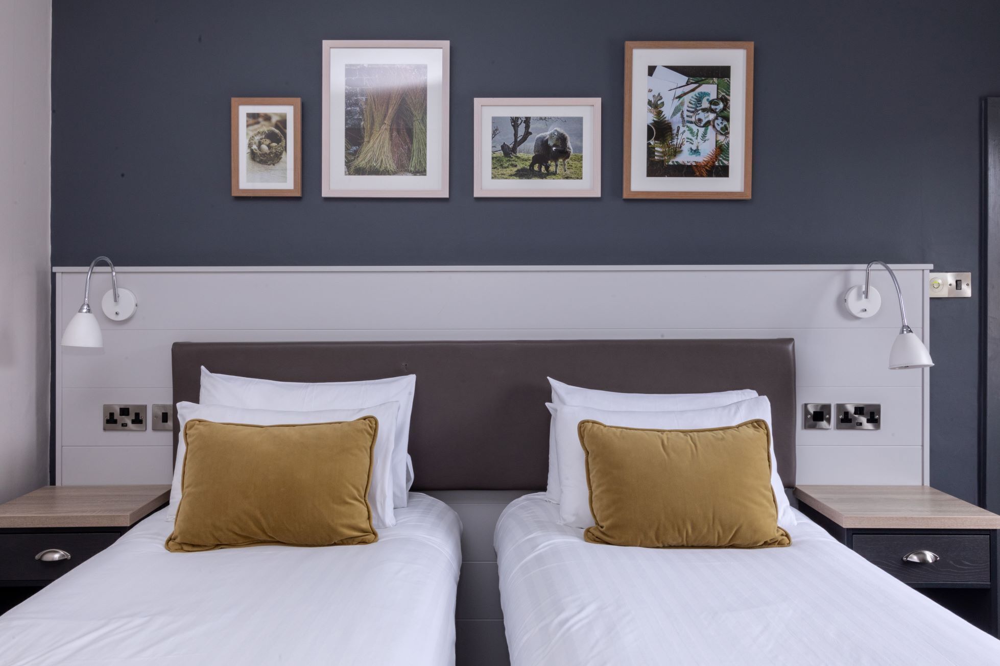 Een hotelkamer met twee bedden, een donker hoofdbord, wit beddengoed en een muur met vier ingekaderde foto's.