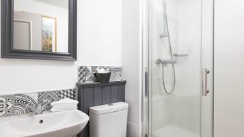 A bathroom with a white sink, a toilet, a shower, and a mirror.
