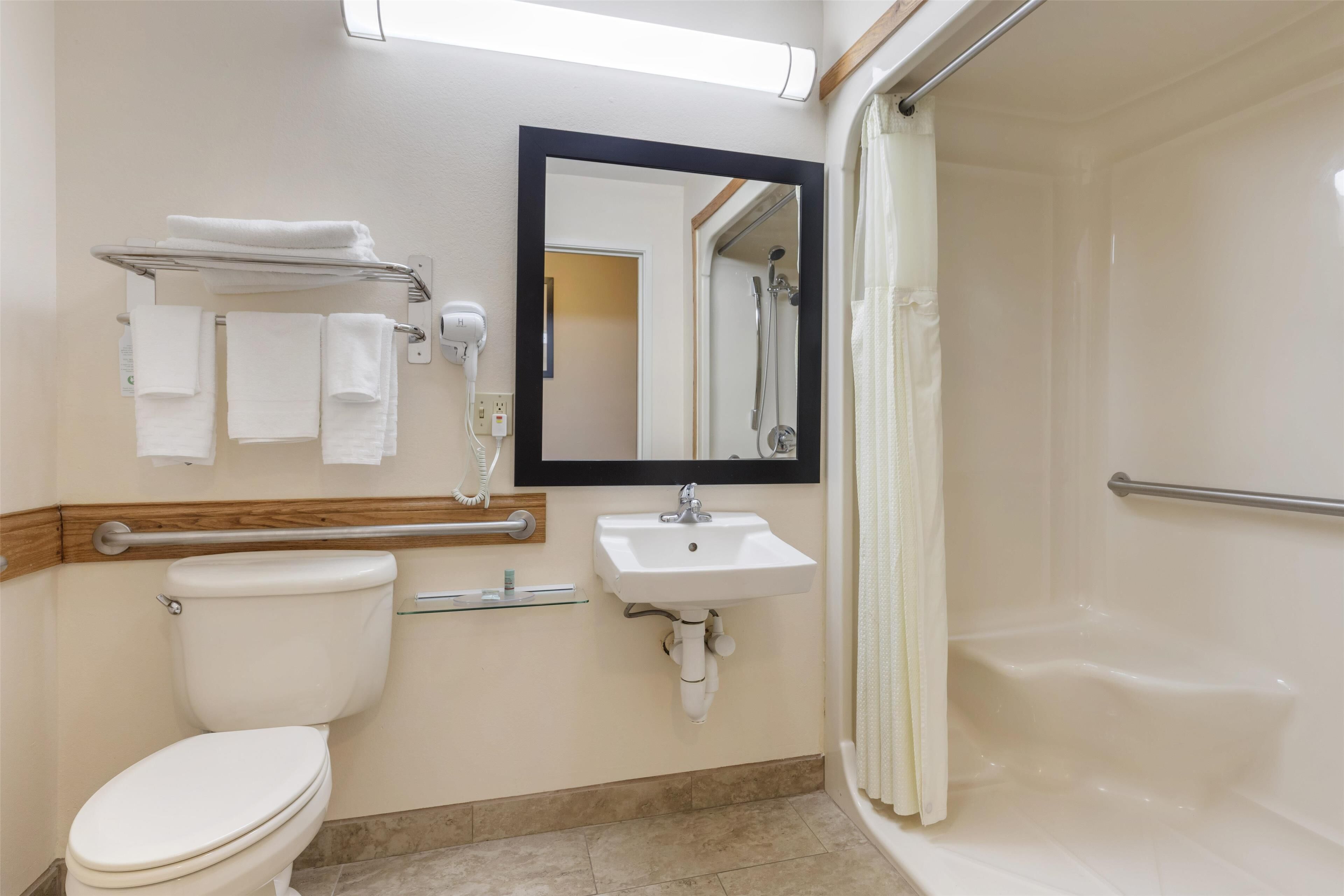 standard room, 1 queen bed, accessible, non smoking | bathroom | free toiletries, hair dryer, towels