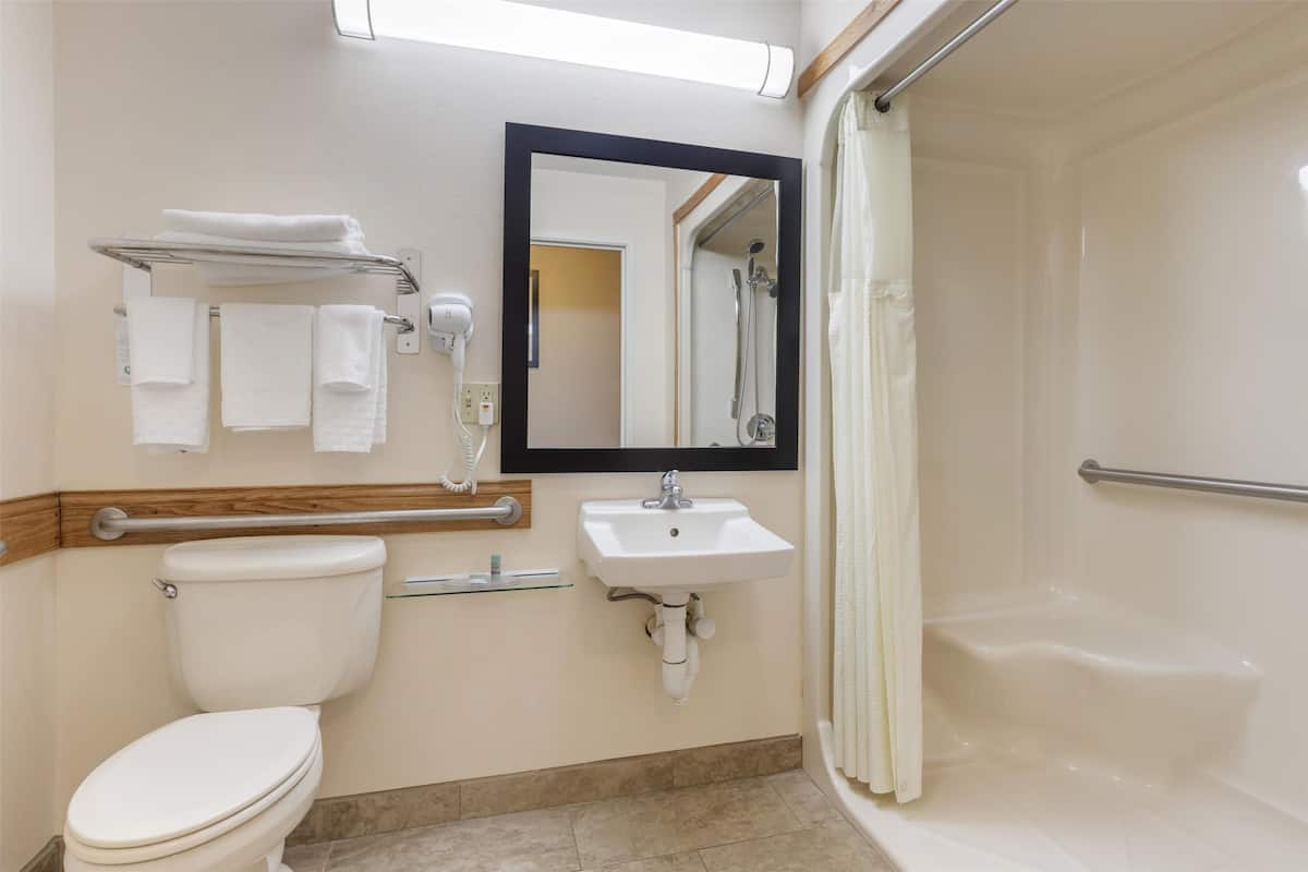standard room, 1 queen bed, accessible, non smoking | bathroom | free toiletries, hair dryer, towels