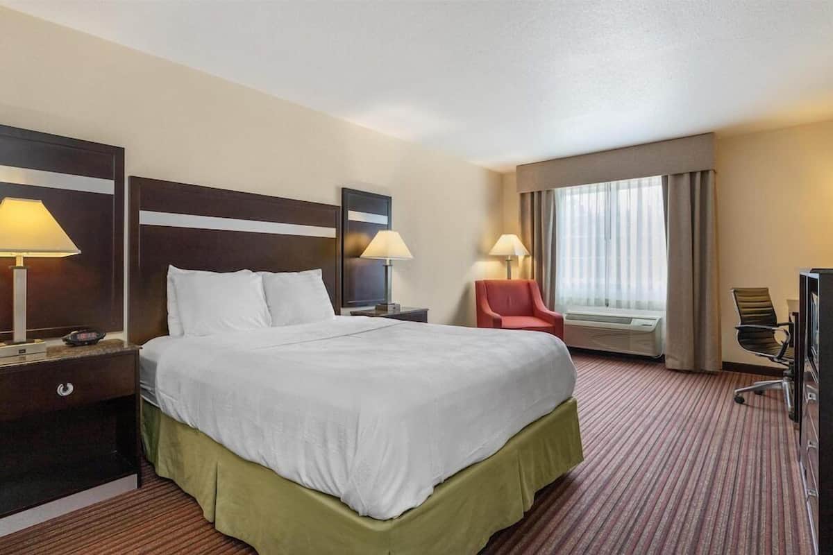Desk, iron/ironing board, cribs (free), WiFi (surcharge)