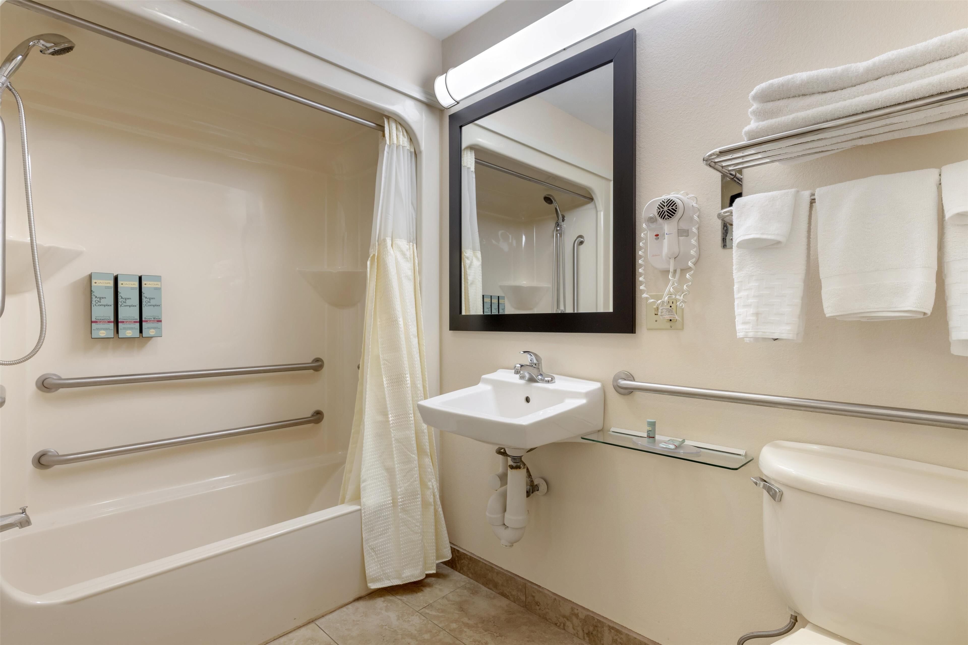 standard room, 1 queen bed, accessible, bathtub | bathroom | free toiletries, hair dryer, towels