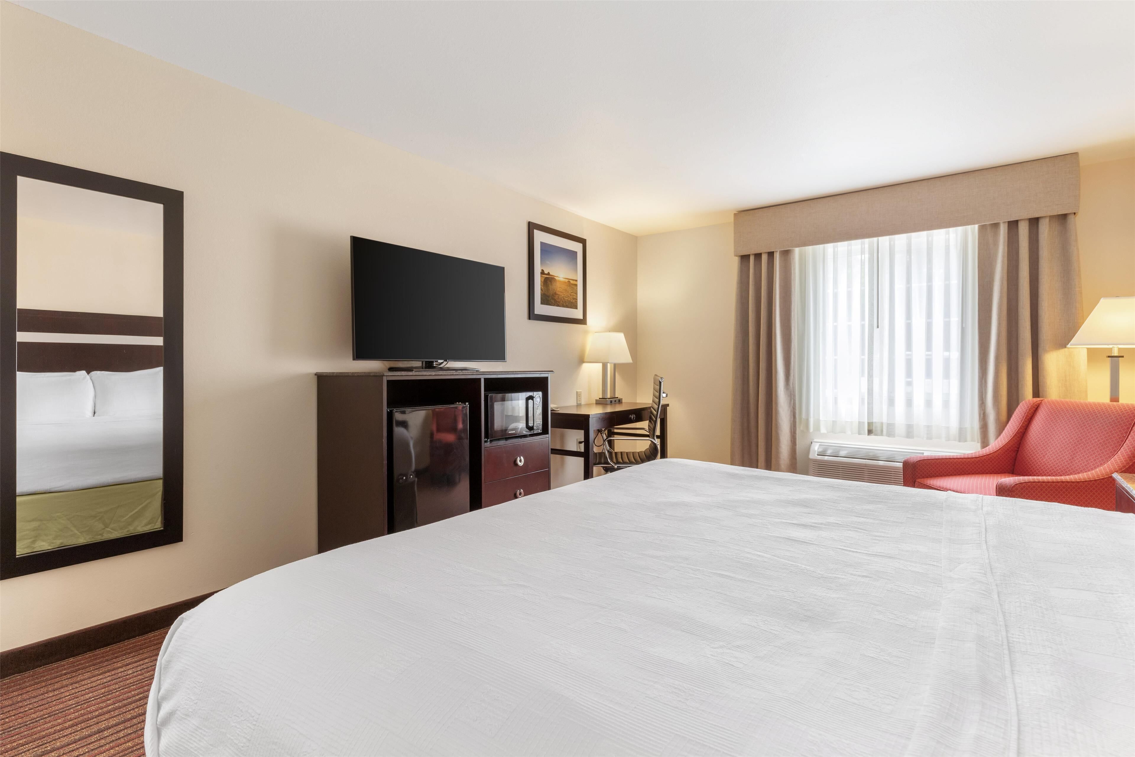 standard room, 1 king bed, non smoking | desk, iron/ironing board, free cots/infant beds, wifi